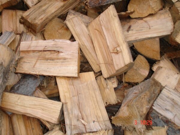Dry Macrocarpa